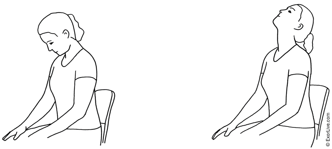 Illustration af øvelse