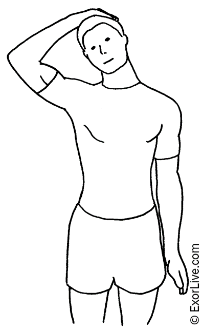 Illustration af øvelse