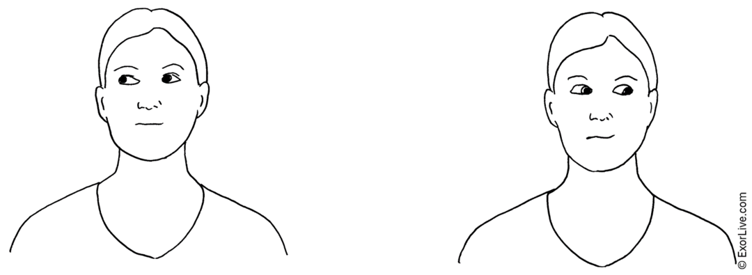 Illustration af øvelse