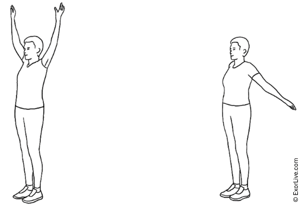 Picture illustrating how to do the exercise.