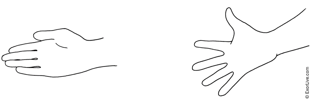 Picture illustrating how to do the exercise.