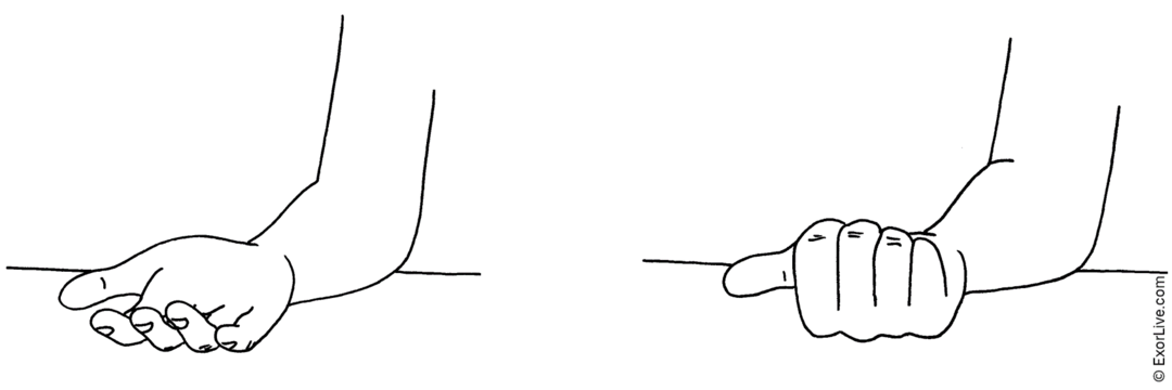 Picture illustrating how to do the exercise.