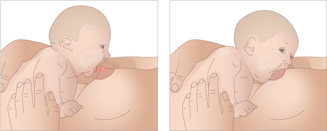 Illustration af amning.