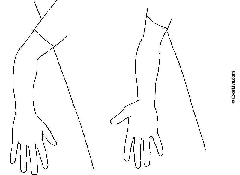 Illustration af øvelse