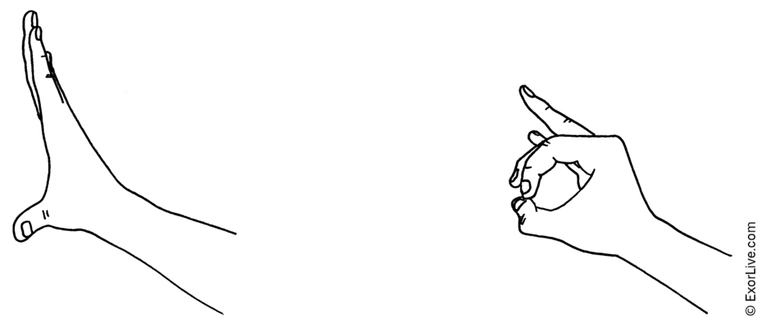 Illustration af øvelse
