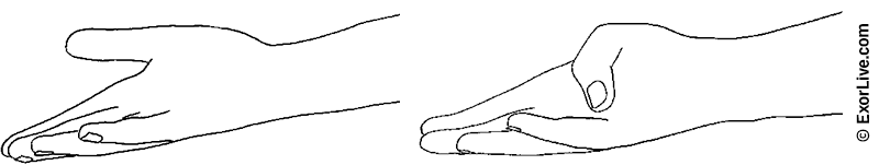 Illustration af øvelse