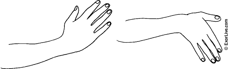 Illustration af øvelse