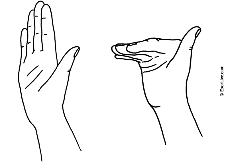 Illustration af øvelse