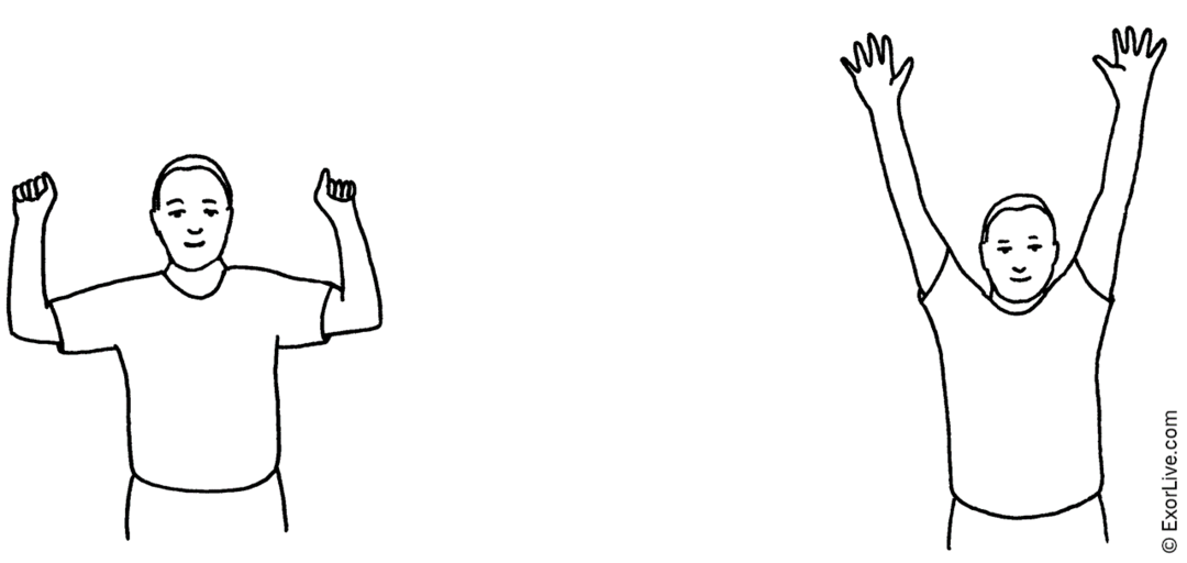 Illustration af øvelse