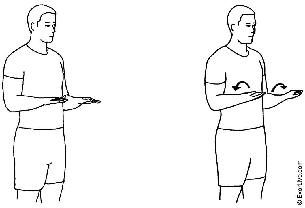 Illustration af øvelse