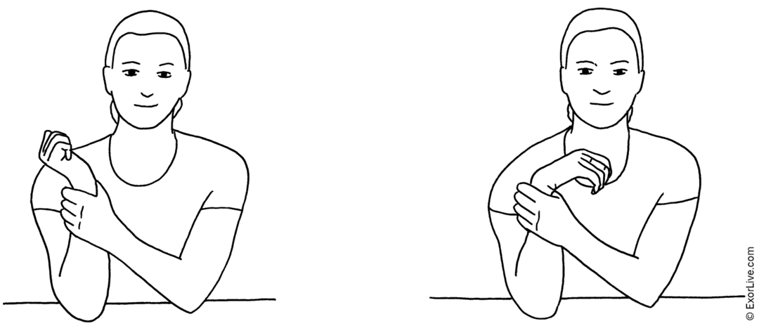 Picture illustrating how to do the exercise.