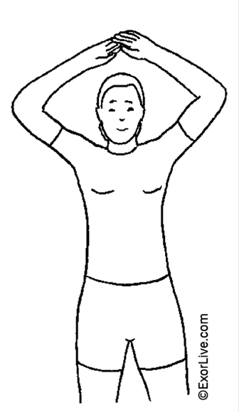 En illustration af en øvelse for skuldrene. 