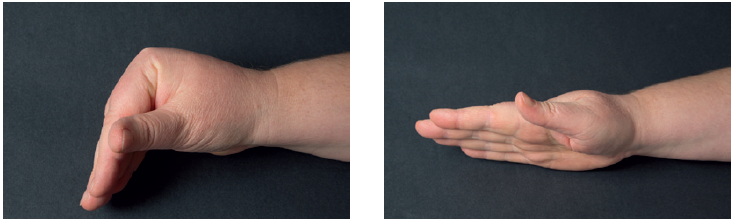 Billedet viser en bøjet hånd og en strakt hånd.