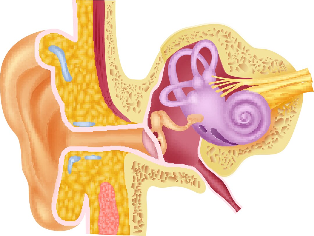 Øresten, behandling af (forholdsregler de næste 4 dage)
