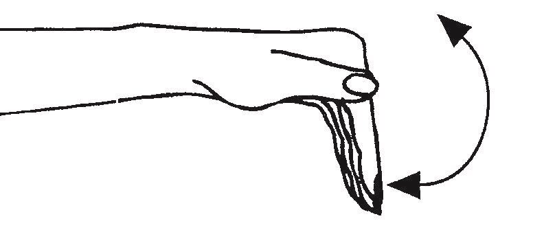 Illustration af, hvordan knoleddene bøjes, og hvor de 2 yderste led holdes strakte.      