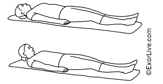 Illustration af shaker øvelse.