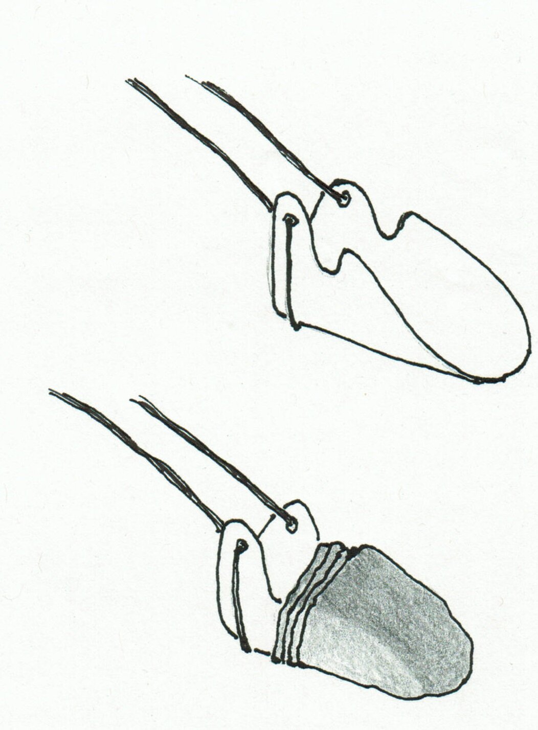Illustration af strømpepåtageren.