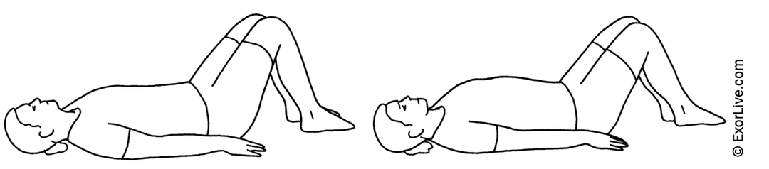Illustration af træning af rygmuskler.