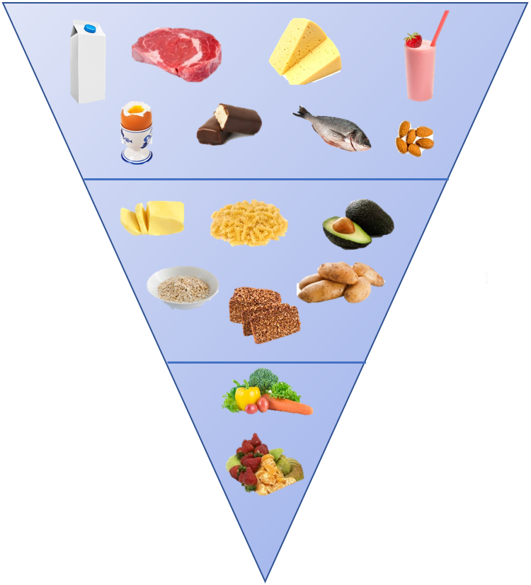 Kostpyramide ved skrumpelever