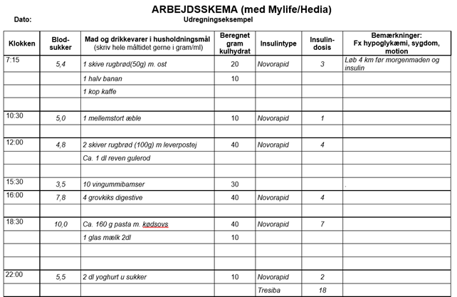 Eksempel på arbejdsskema