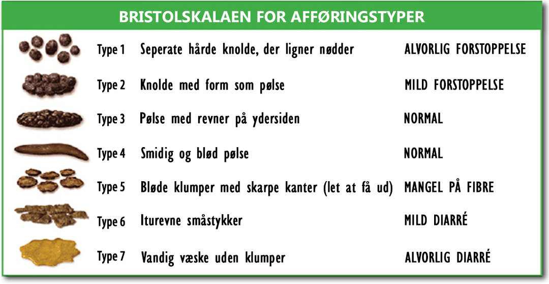 Bristolskala