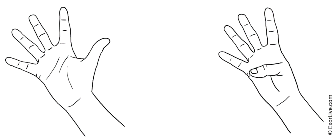 Illustration af øvelse