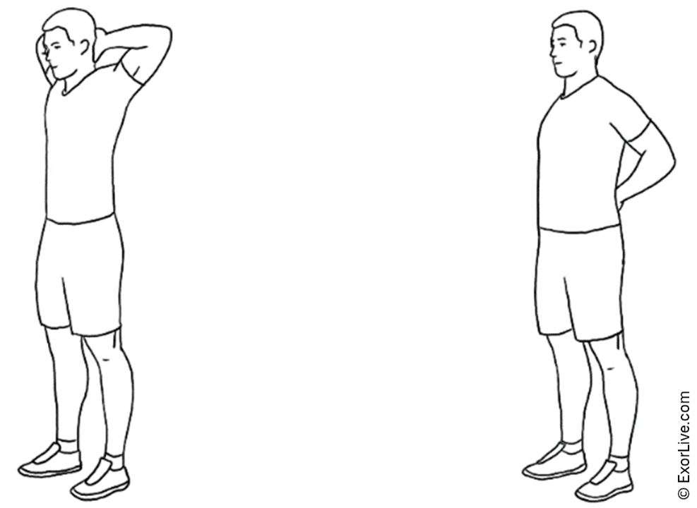 Picture illustrating how to do the exercise.