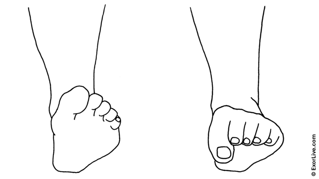 Illustration af øvelse