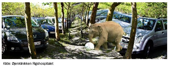 Billedet viser, at der går en elefant med en bold på en parkeingsplads.