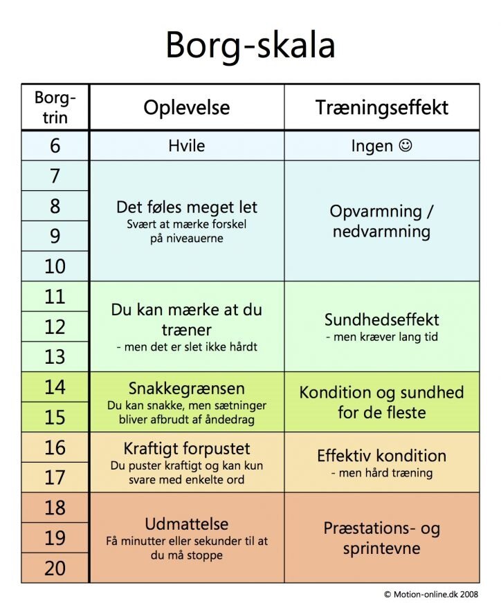 Borg skala