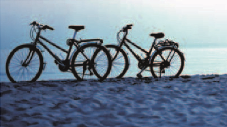 To cykler på en strand