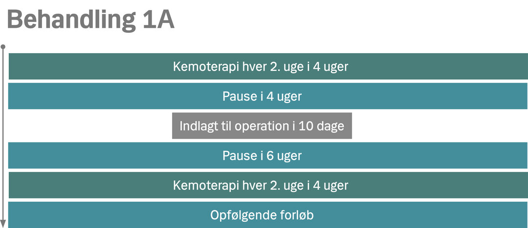 Oversigt over behandling 1A