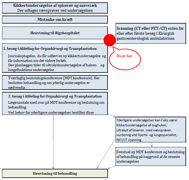 Oversigt over patientforløbet